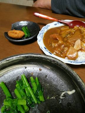カレーで晩酌