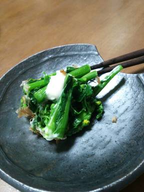 菜の花?のお浸し
