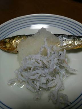 めざしの干物