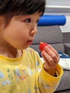 1585106571994.jpg