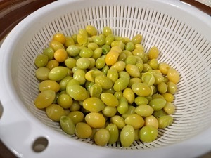 20221214_103927.jpg
