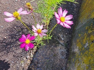 20230524_081429.jpg