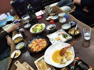 DSC_1060-c229f.JPG