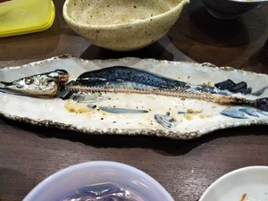 DSC_1079-c8d2a.JPG