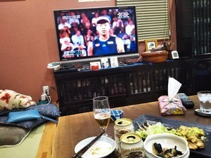 DSC_1560-fe1f5.JPG