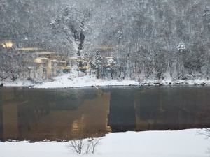 DSC_1571.JPG