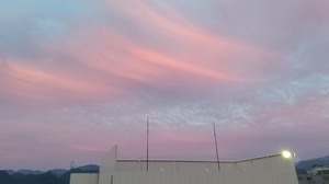 DSC_2209.JPG