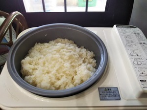 DSC_2631.JPG