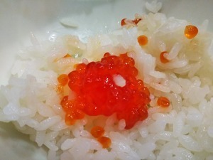 DSC_2795.JPG