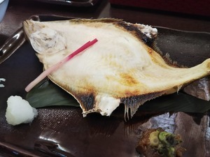 DSC_4607.JPG