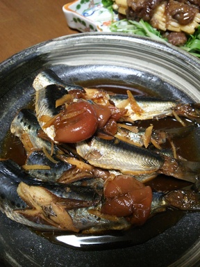 イワシ煮